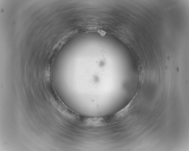 X0000052650179200507221851