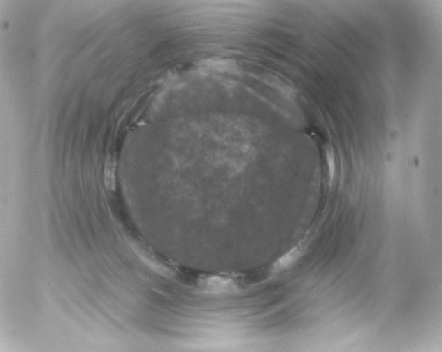 X0000052650180200507221851