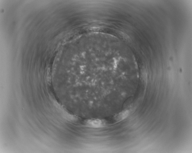 X0000052650181200507221851