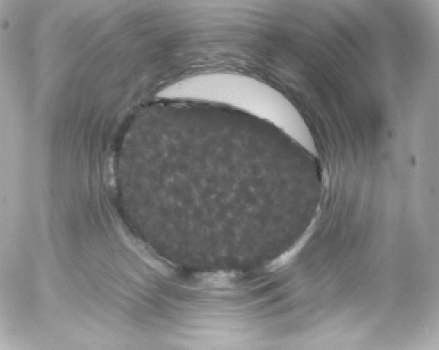 X0000052650182200507221851