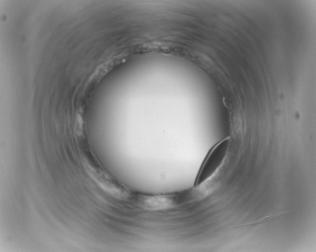 X0000052650183200507221851