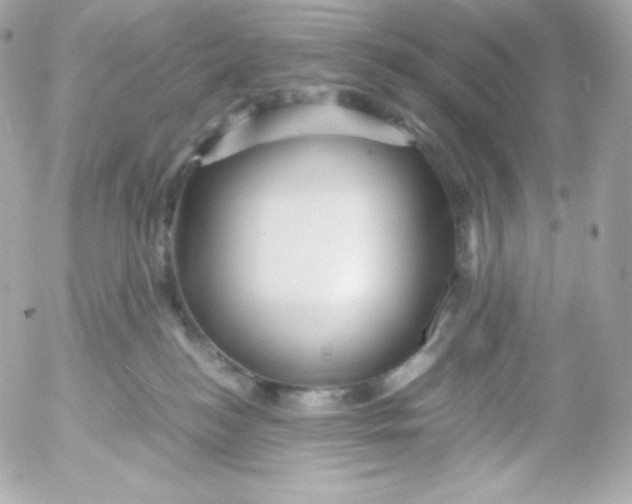 X0000052650184200507221851