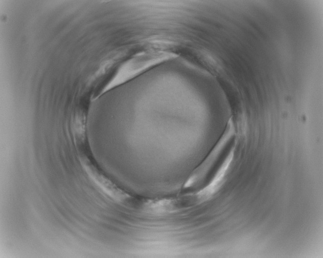 X0000052650186200507221851