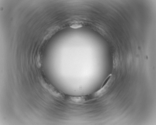 X0000052650187200507221851