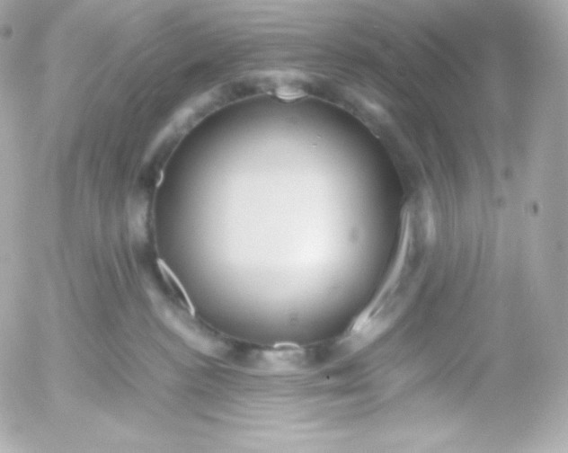 X0000052650188200507221851