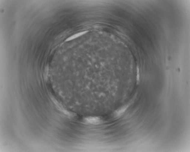 X0000052650189200507221851