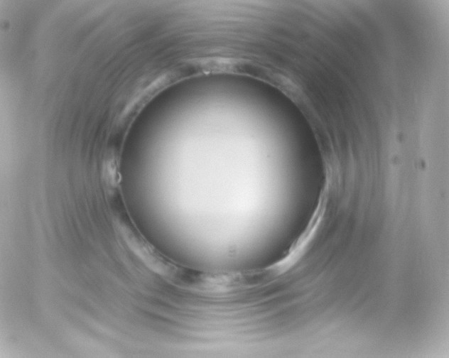 X0000052650190200507221851