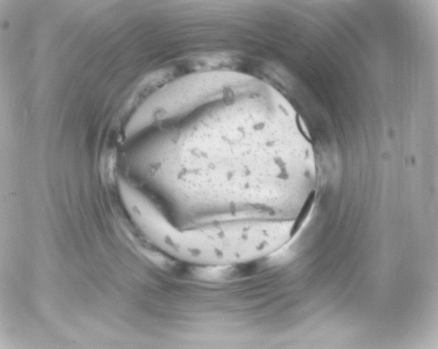 X0000052650191200507221851