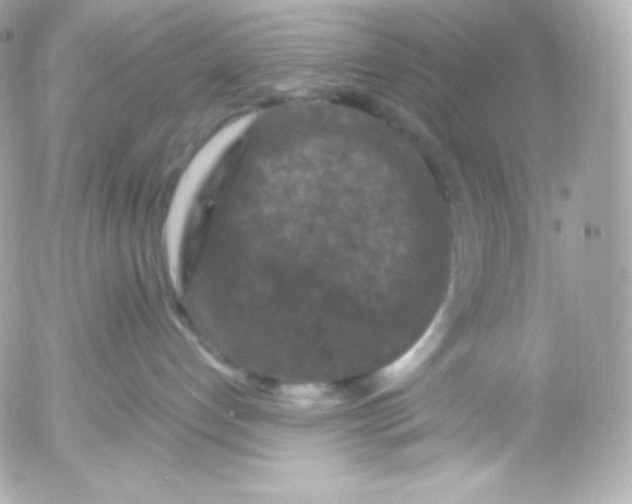 X0000052650192200507221851