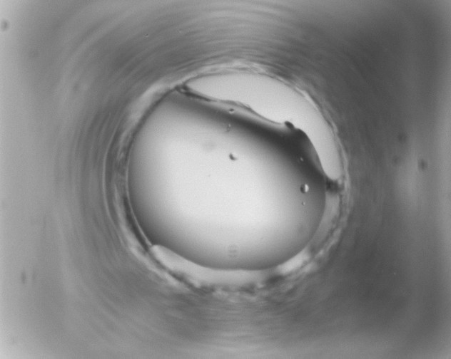 X0000052650193200507221850