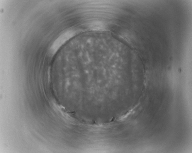 X0000052650194200507221850