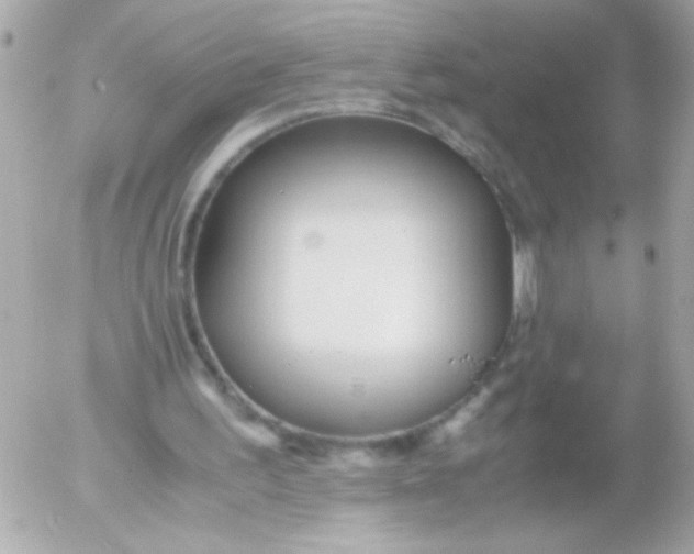 X0000052650195200507221850