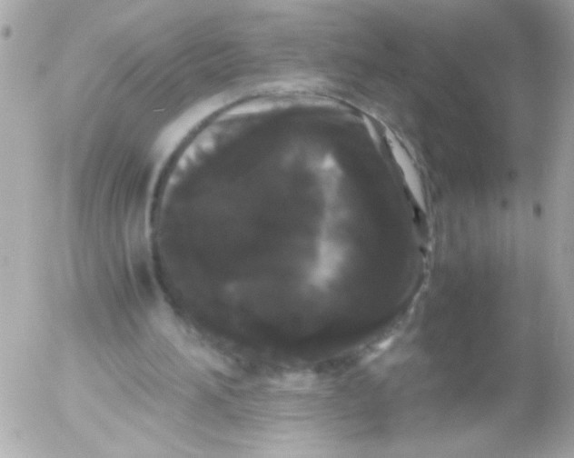 X0000052650196200507221850