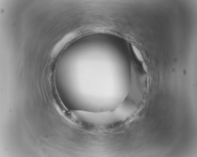 X0000052650197200507221850