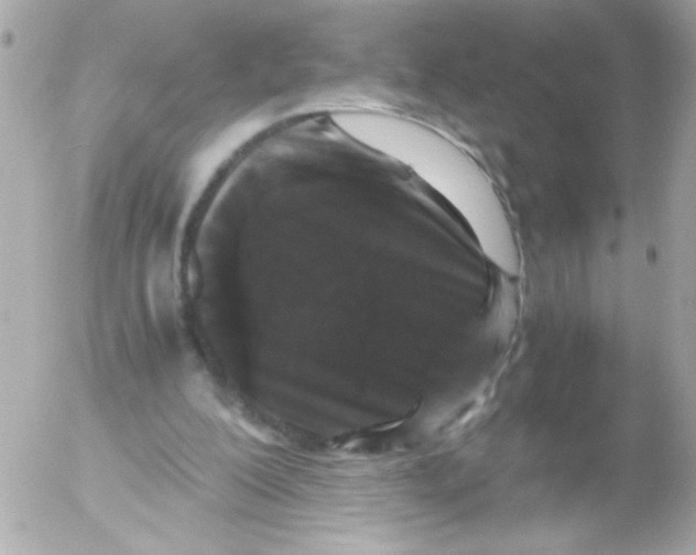 X0000052650200200507221850