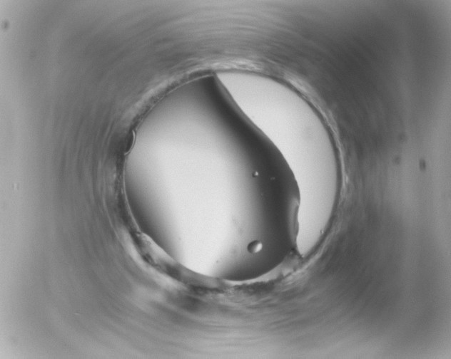 X0000052650201200507221850