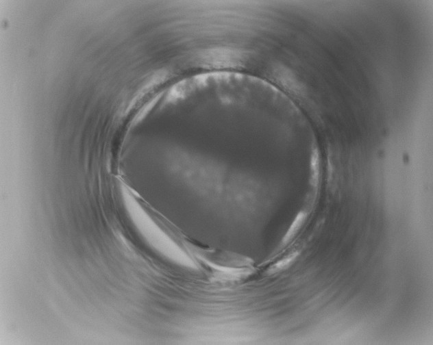 X0000052650202200507221850