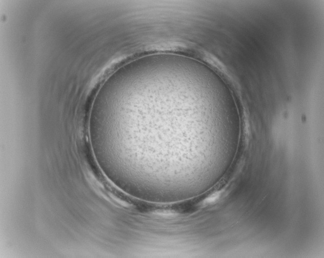 X0000052650203200507221850