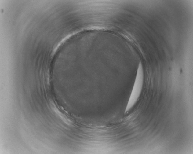 X0000052650204200507221850