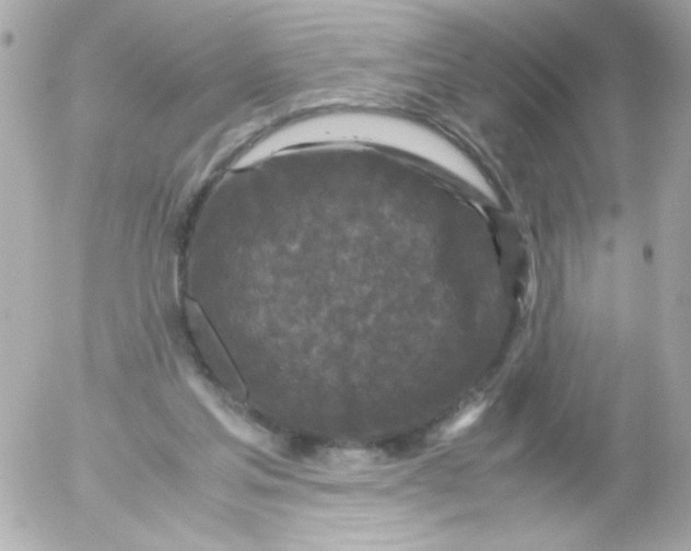 X0000052650205200507221850