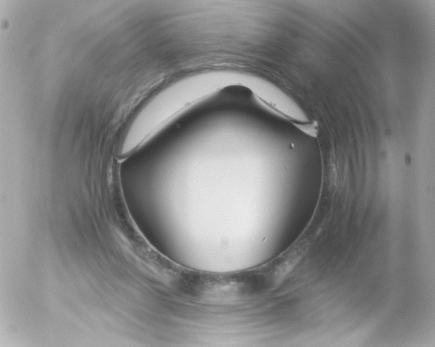 X0000052650206200507221850