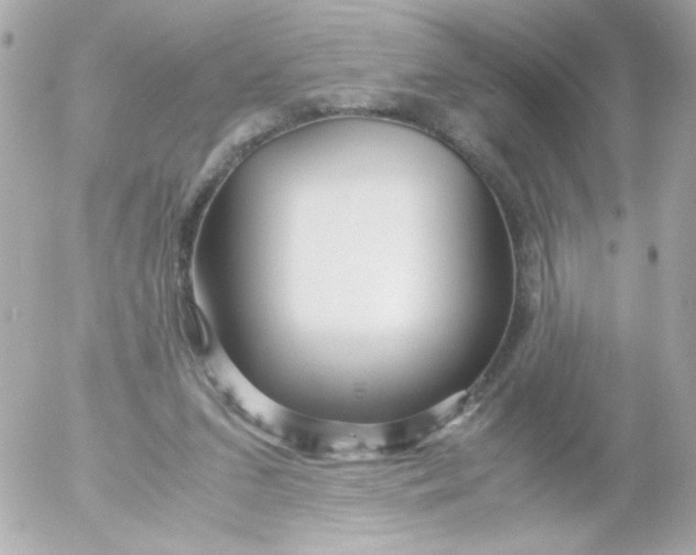 X0000052650207200507221850