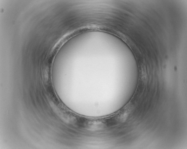 X0000052650208200507221850