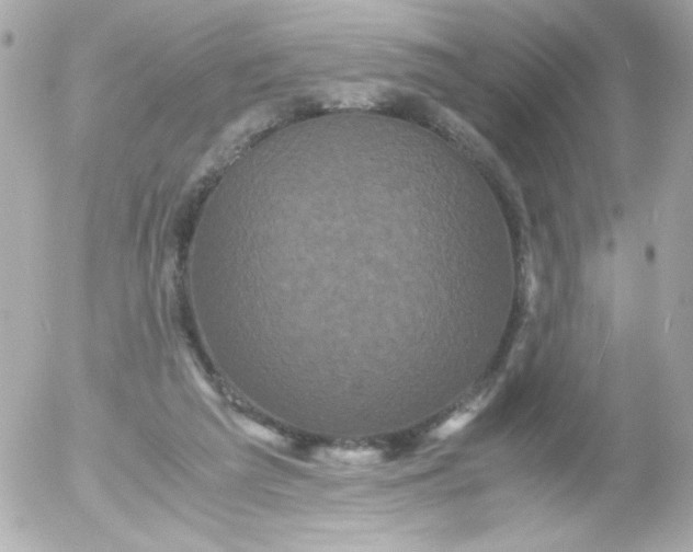 X0000052650209200507221850