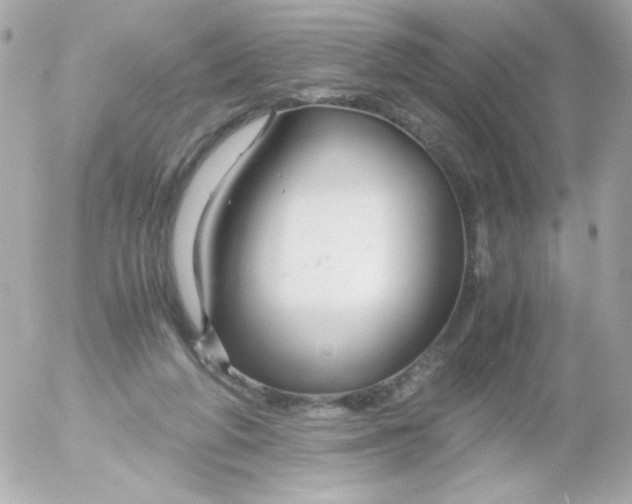 X0000052650210200507221850