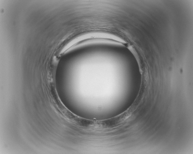 X0000052650211200507221850