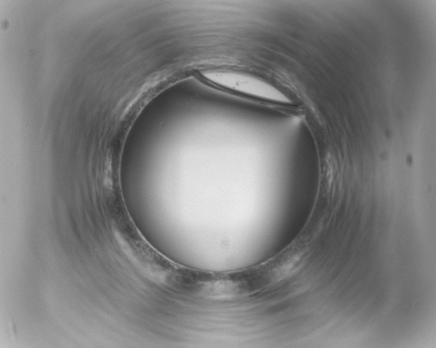 X0000052650212200507221850