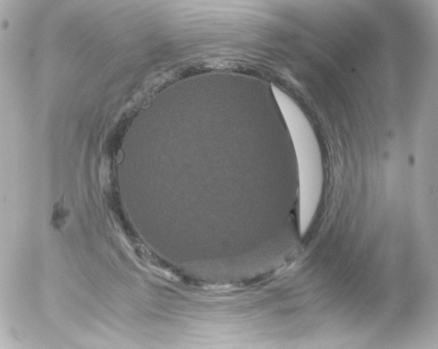 X0000052650213200507221850