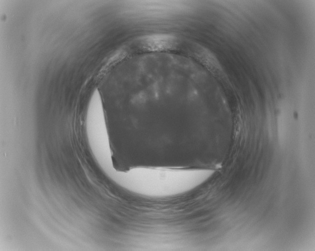 X0000052650214200507221850