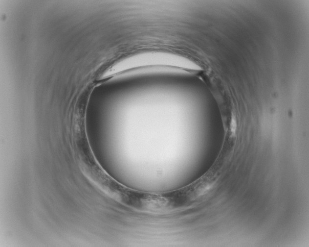 X0000052650215200507221850