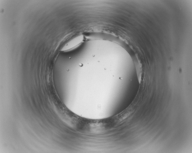 X0000052650216200507221850