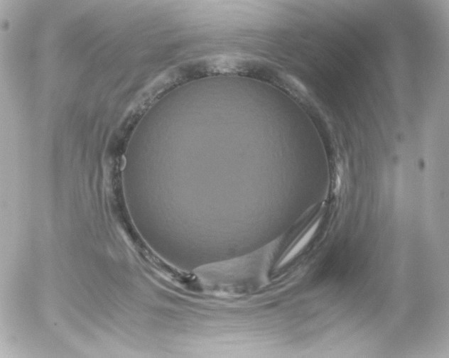 X0000052650217200507221850