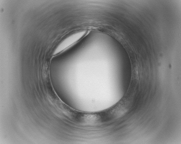 X0000052650218200507221850