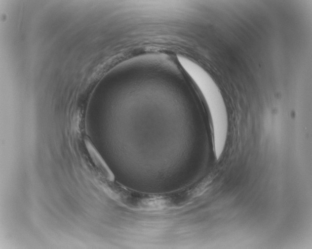 X0000052650219200507221850