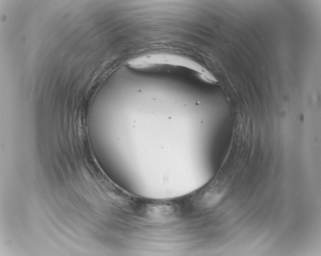 X0000052650220200507221850