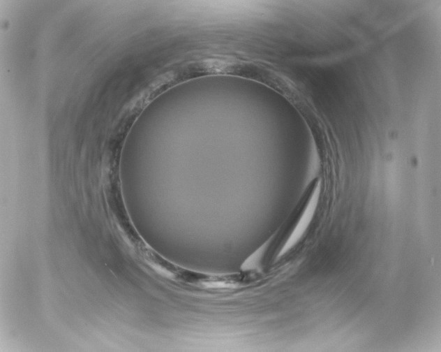 X0000052650221200507221850