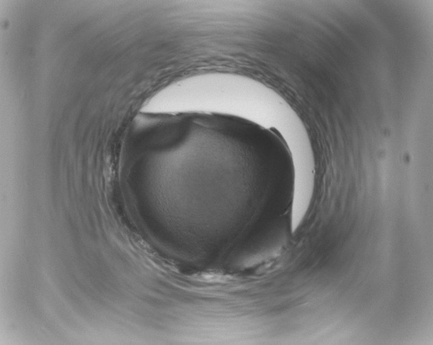 X0000052650223200507221849