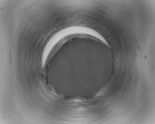 X0000052650224200507221849