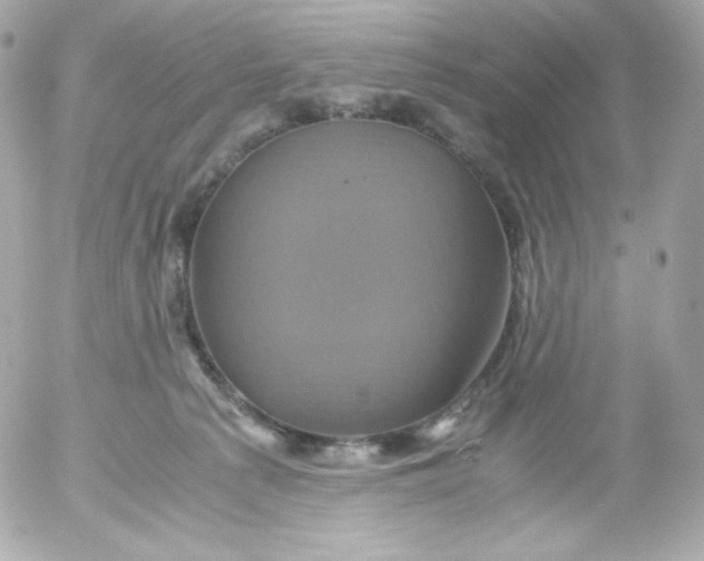 X0000052650225200507221849