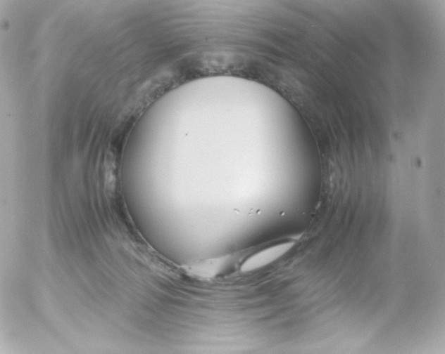 X0000052650226200507221849