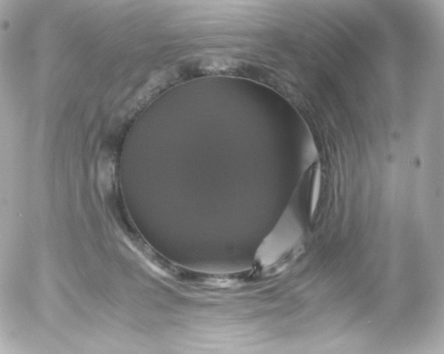 X0000052650227200507221849