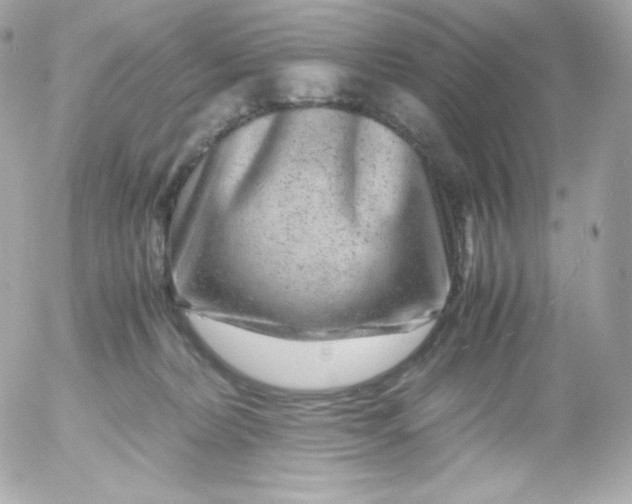 X0000052650228200507221849