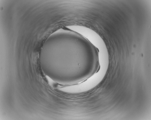 X0000052650229200507221849