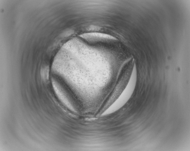 X0000052650230200507221849