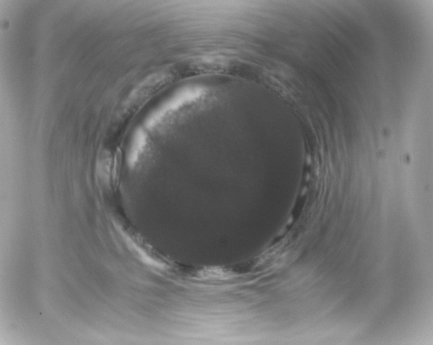 X0000052650231200507221849