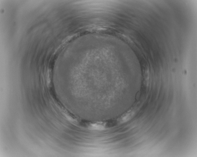 X0000052650232200507221849